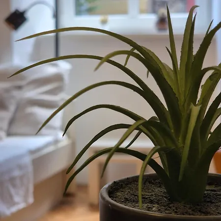 Ritual Center Lägenhet